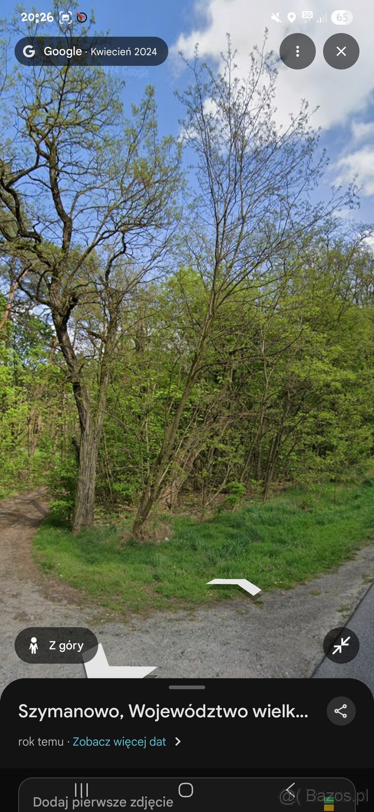 Sprzedam działki leśne - 2