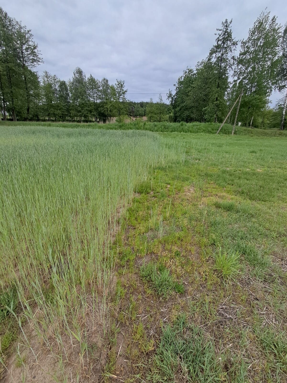 Działka budowlana o powierzchni 3261m2, Stobno - 2