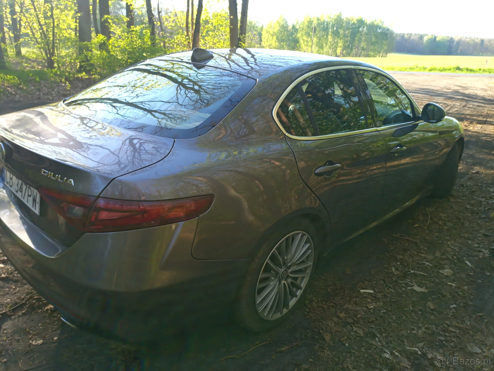 Alfa Romeo Giulia 2.2d - 2