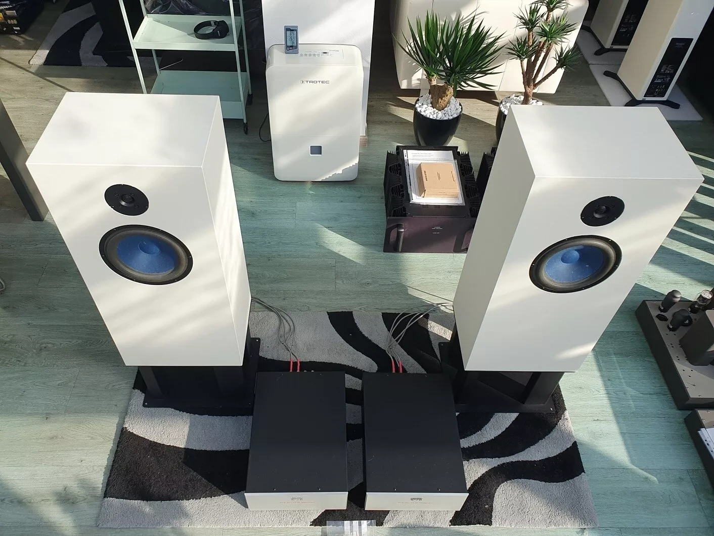 Audio Note AN-E Spe HE SE Signature - 2