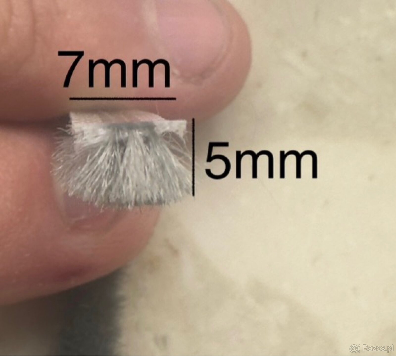 prachové těsnění - 2