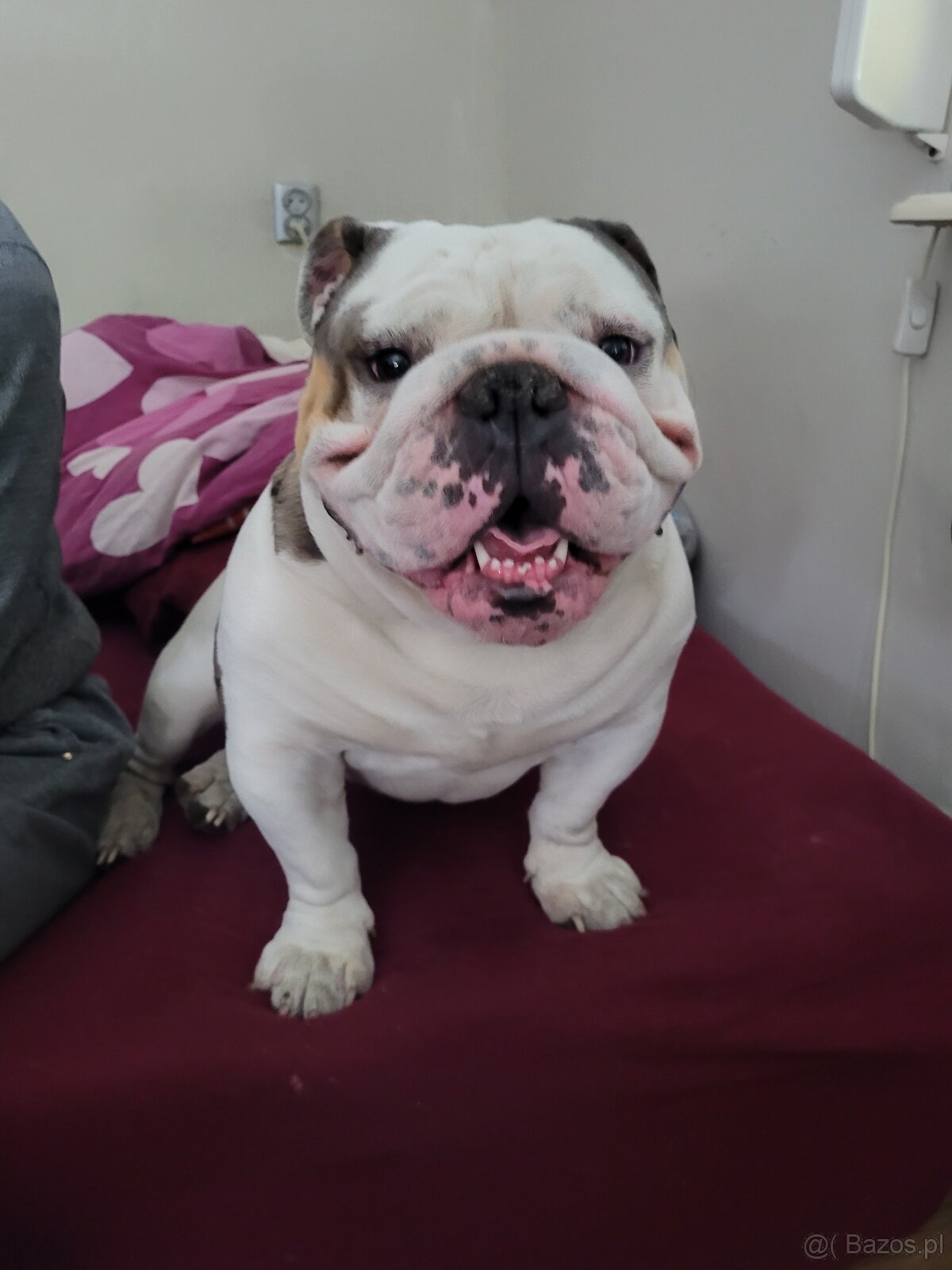 Oddam w dobre ręce - 2