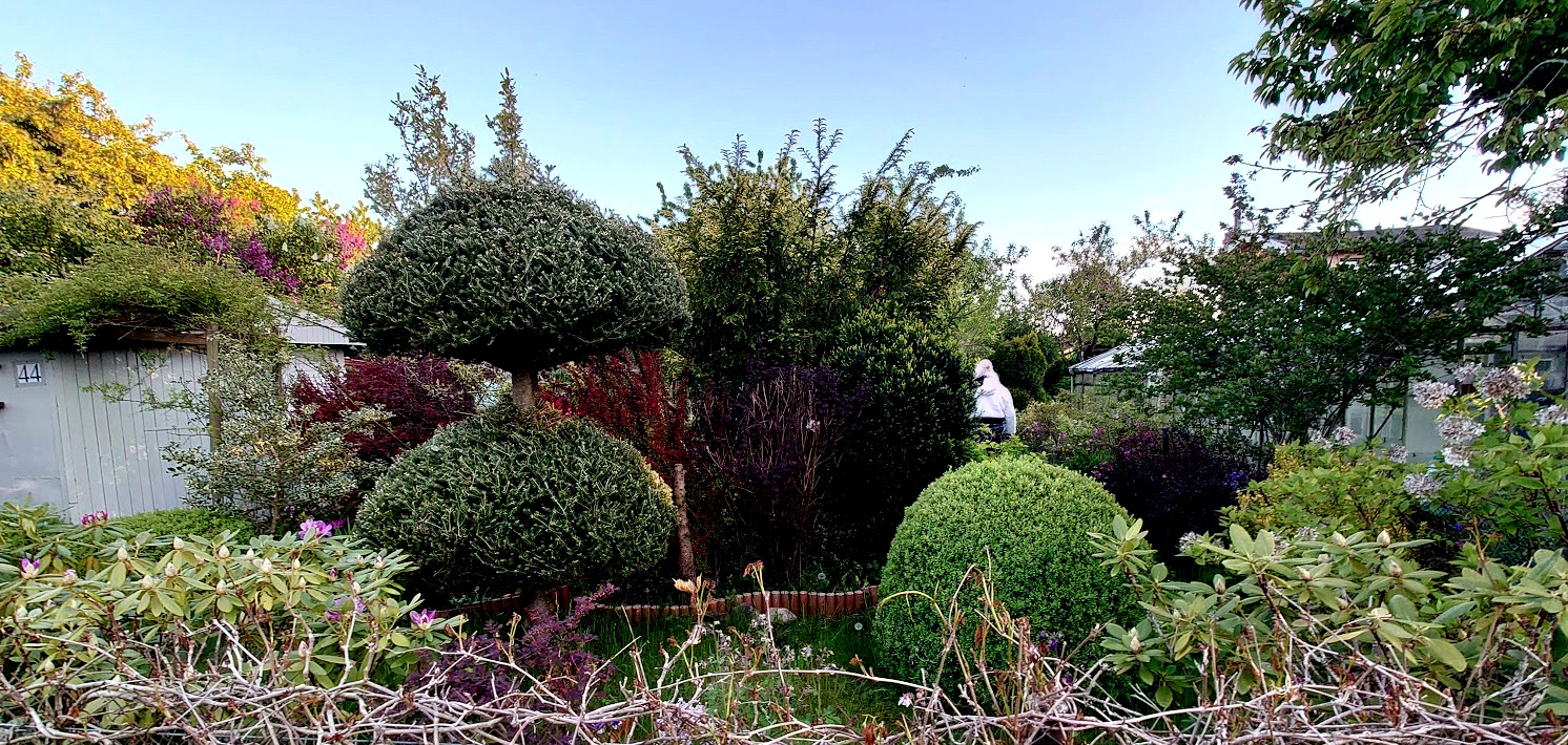 SPRZEDAM Działkę ogrodową w Słupsku 447m². - 2