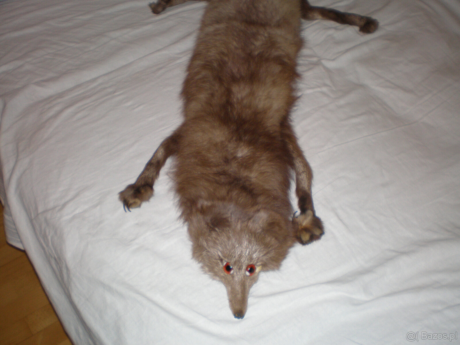 Sprzedam kołnierz z lisa,używany, stan bardzo dobry. - 2