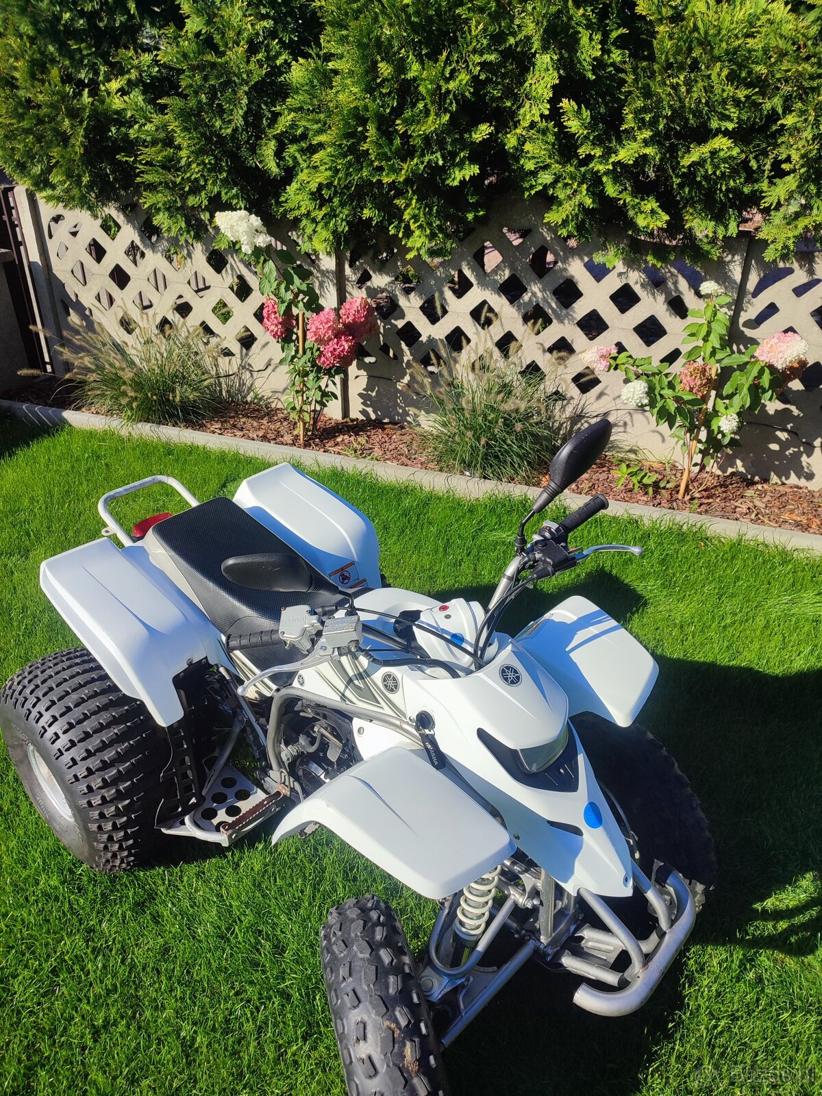 Yamaha Blaster 200 2T - 2