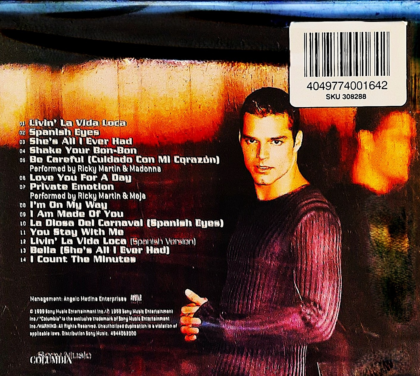 Polecam Album CD RICKY MARTIN -Album- The Best of CD - 2