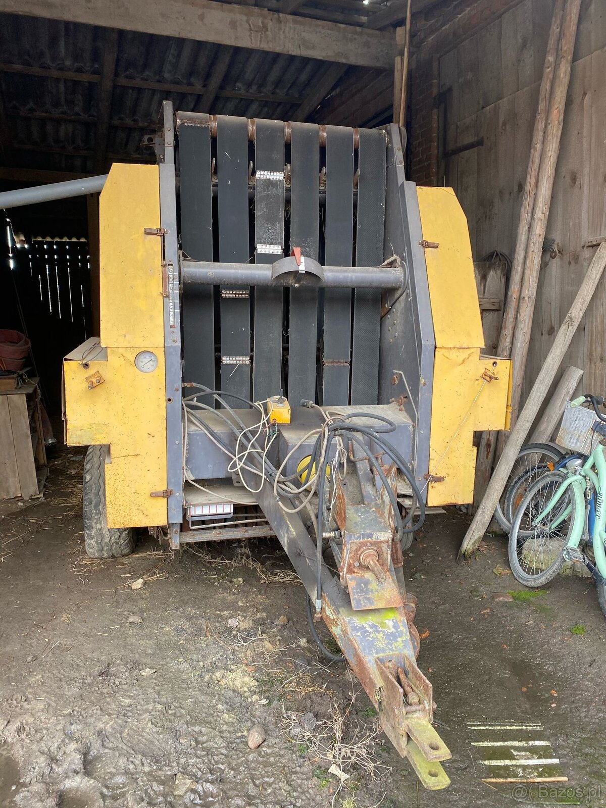 Belownica Riviere Casalis - 2