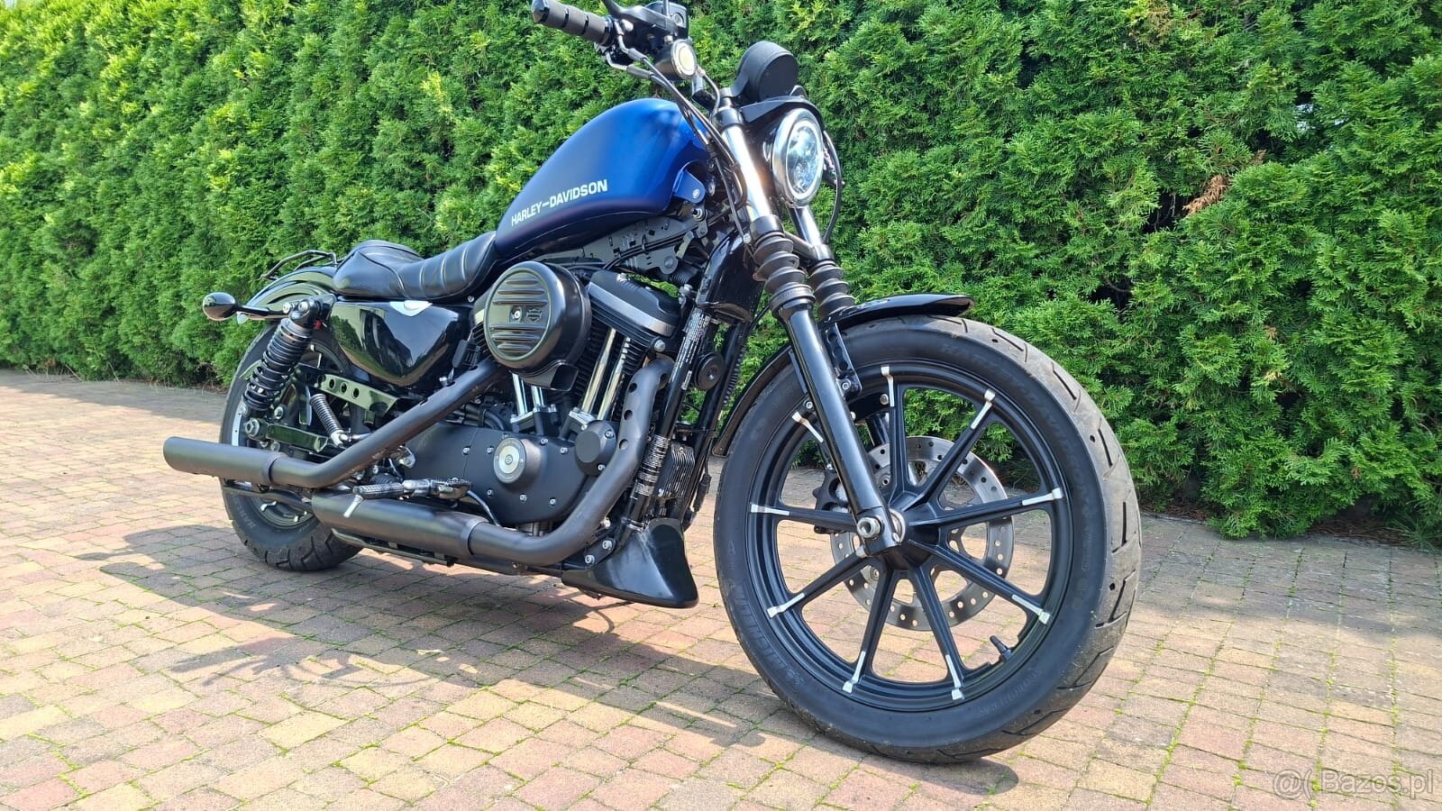 Sportster IRON Harley Davidson - 2