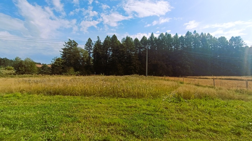 Działka w Námestowie dla Twojej firmy - 2