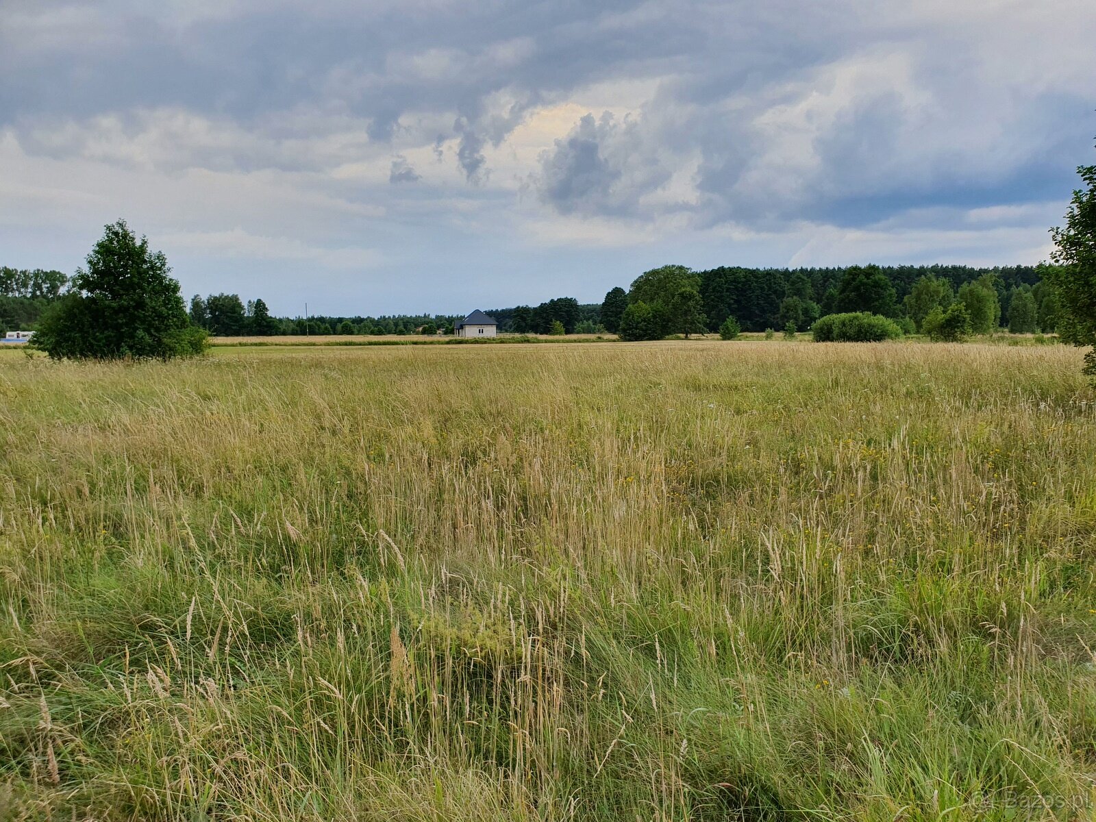 Działka Rolno-Rekreacyjna 3000m2 przy Puszczy Bolimowskiej - 2