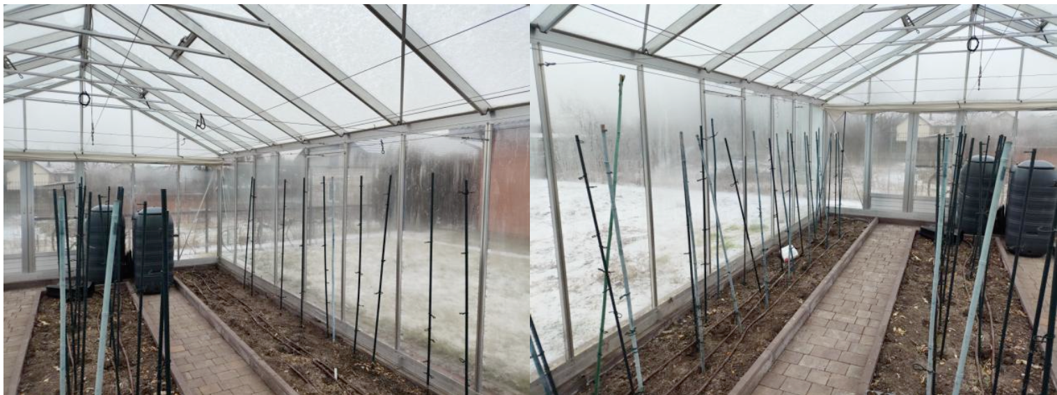 Szklarnia - udział 1/2. - 2