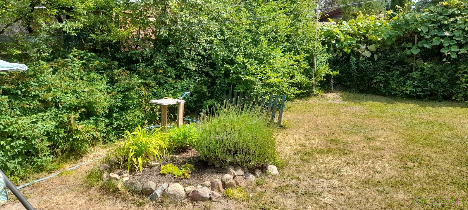 działka rekreacyjna - 2