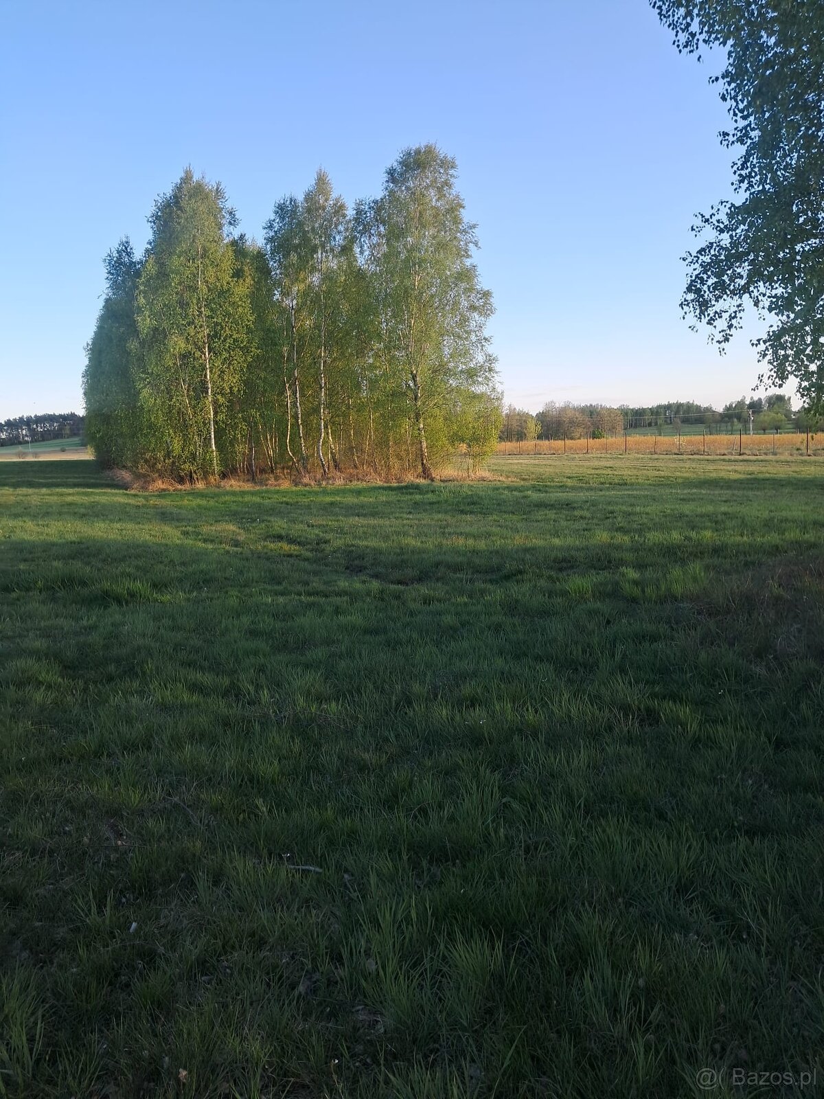 Działka budowlana o powierzchni 3900m2, Stobno Wieś - 2