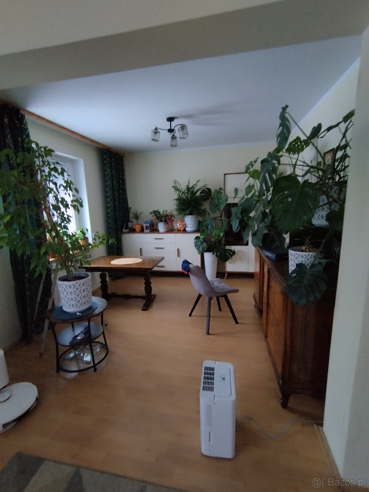 Sprzedam połowę domu cały dół - 2