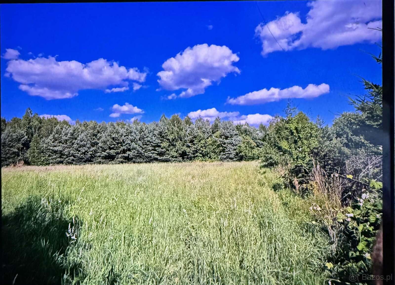 Atrakcyjna działka pod budowę domu - 2