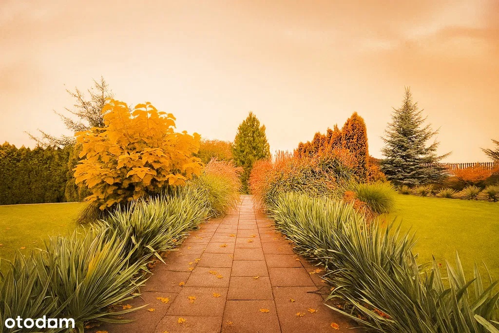 Parterowy dom koło Pabianic, Fotowoltaika, Solary, Smart - 2