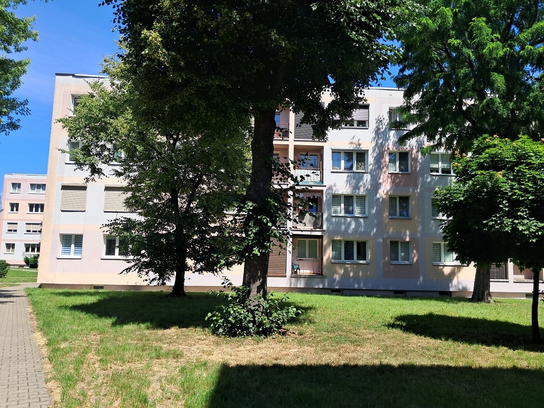 2 pokojowe mieszkanie, parter, po remoncie, os. Kaliniec - 2