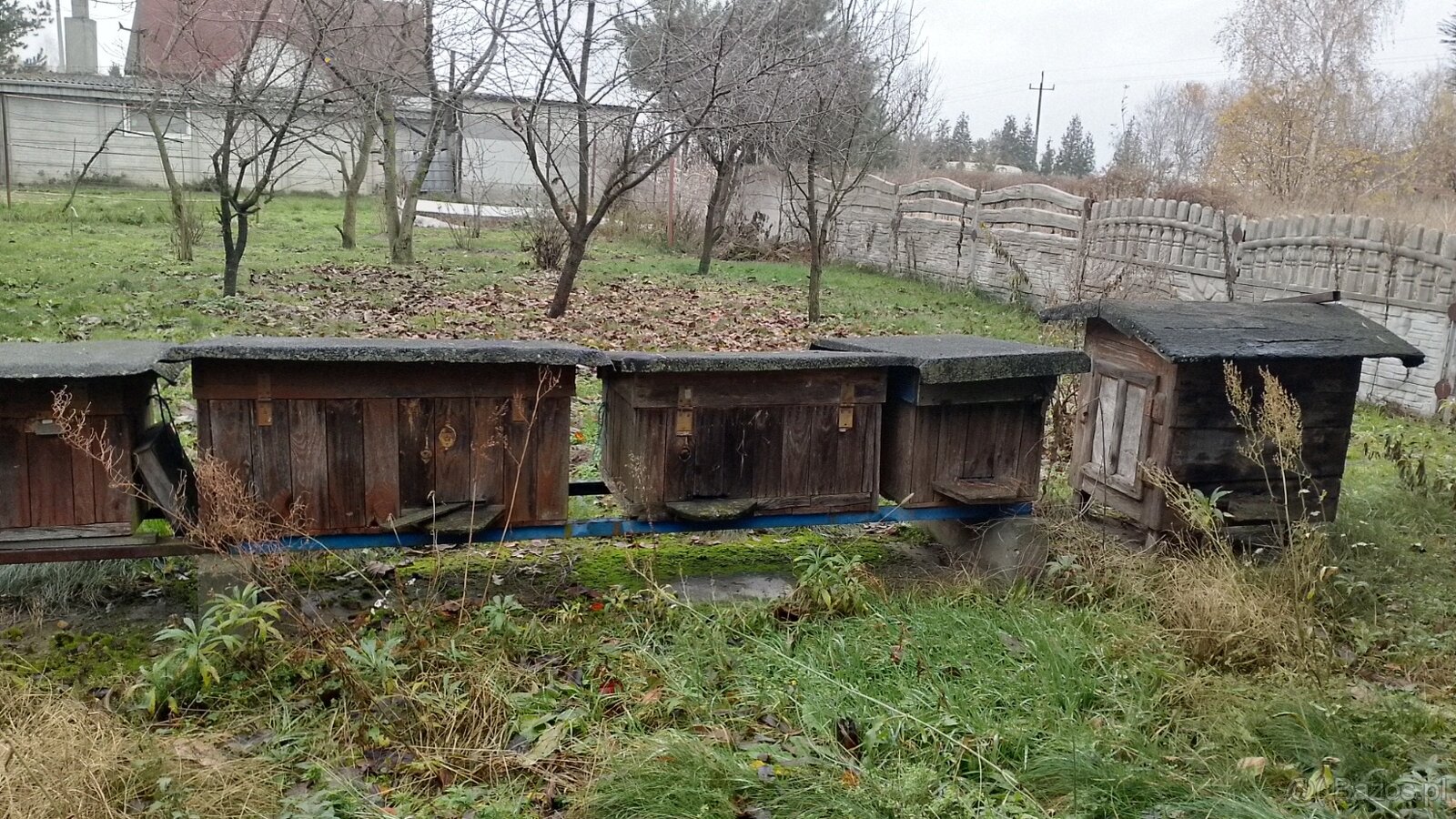 Domki dla pszczół - 2