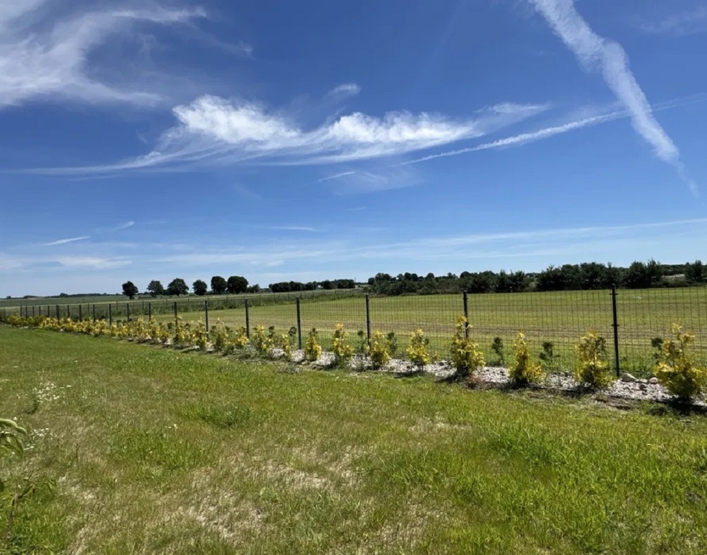 Działka rolna z warunkami zabudowy o pow. 3001 m2, Żelazków - 2