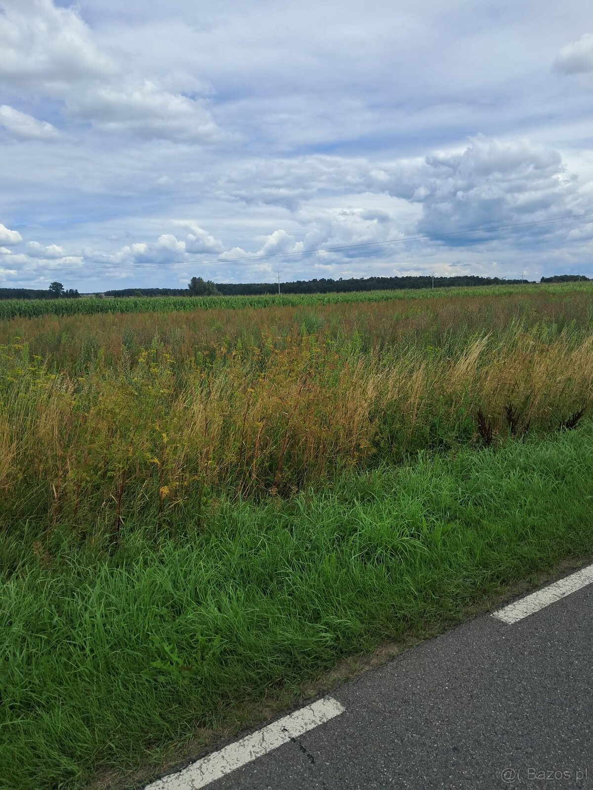 Działki budowlane z bezterminowymi warunkami zabudowy – Zbor - 2