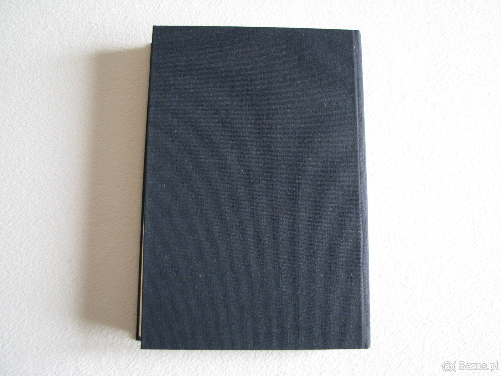 Szelmostwa niegrzecznej dziewczynki - Mario Vargas Llosa - 2