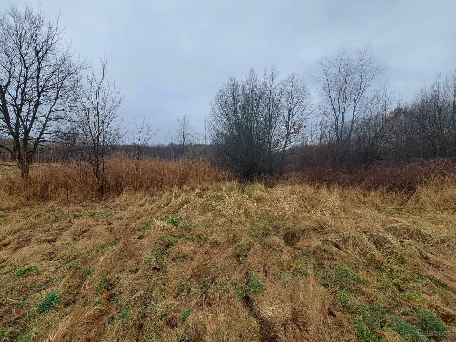 Przyborów gm. Borzęcin działka budowlano-rolna 33 ar - 2