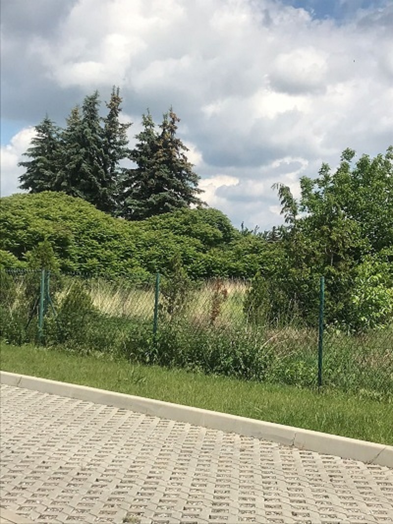 Działka budowlano-inwestycyjna 1523 m² – ul. Wrocławska - 2
