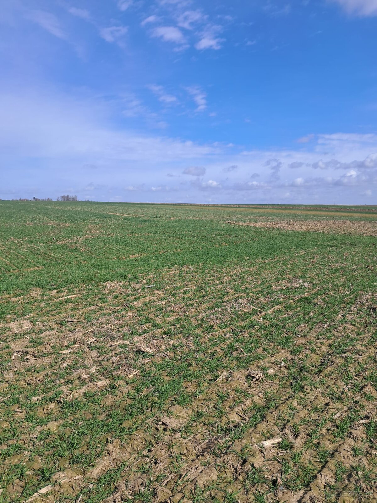 Działki budowlane o powierzchniach od 960m2 do 1001m2,Kalisz - 2