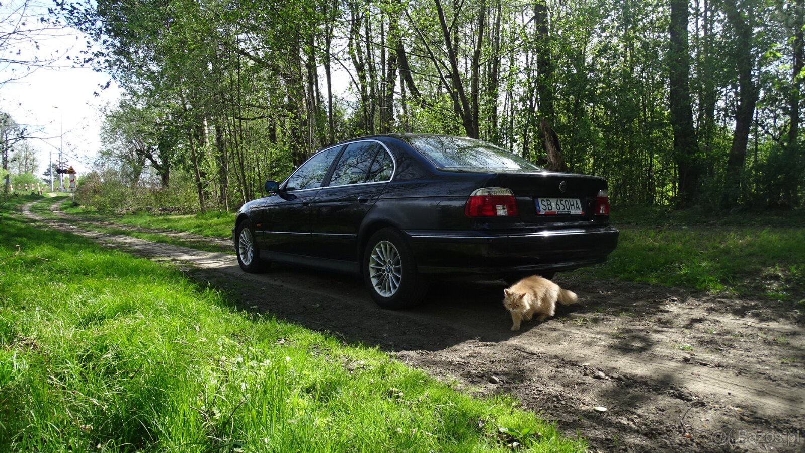 BMW e39 530d manual 193km - 2