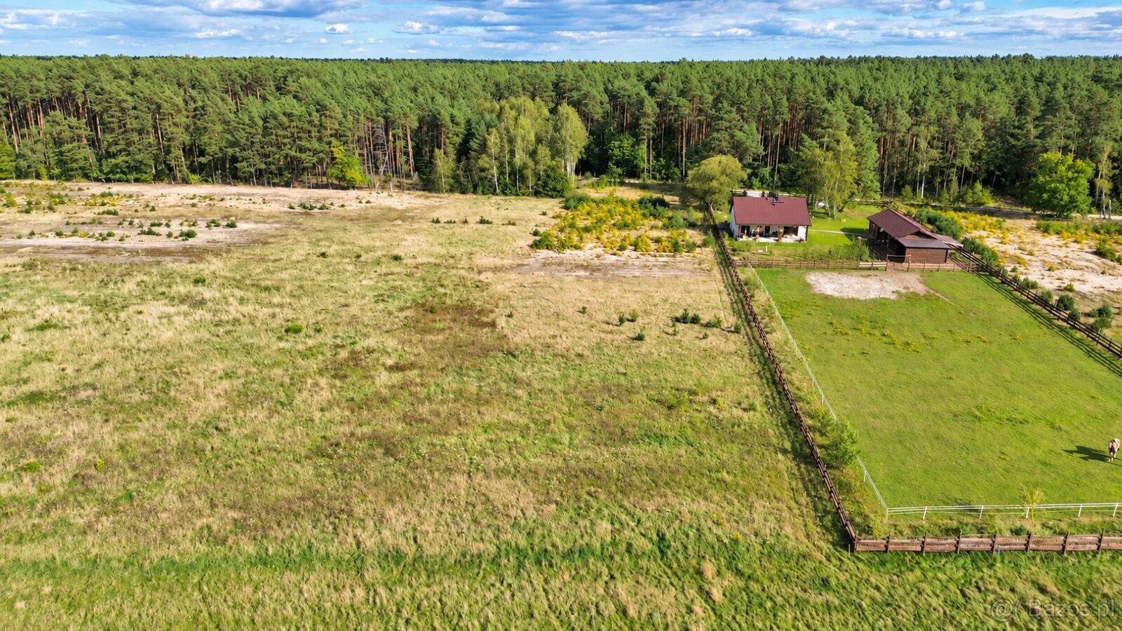 DZIAŁKA ROLNO-BUDOWLANA , WZ- 5267 m² - 2