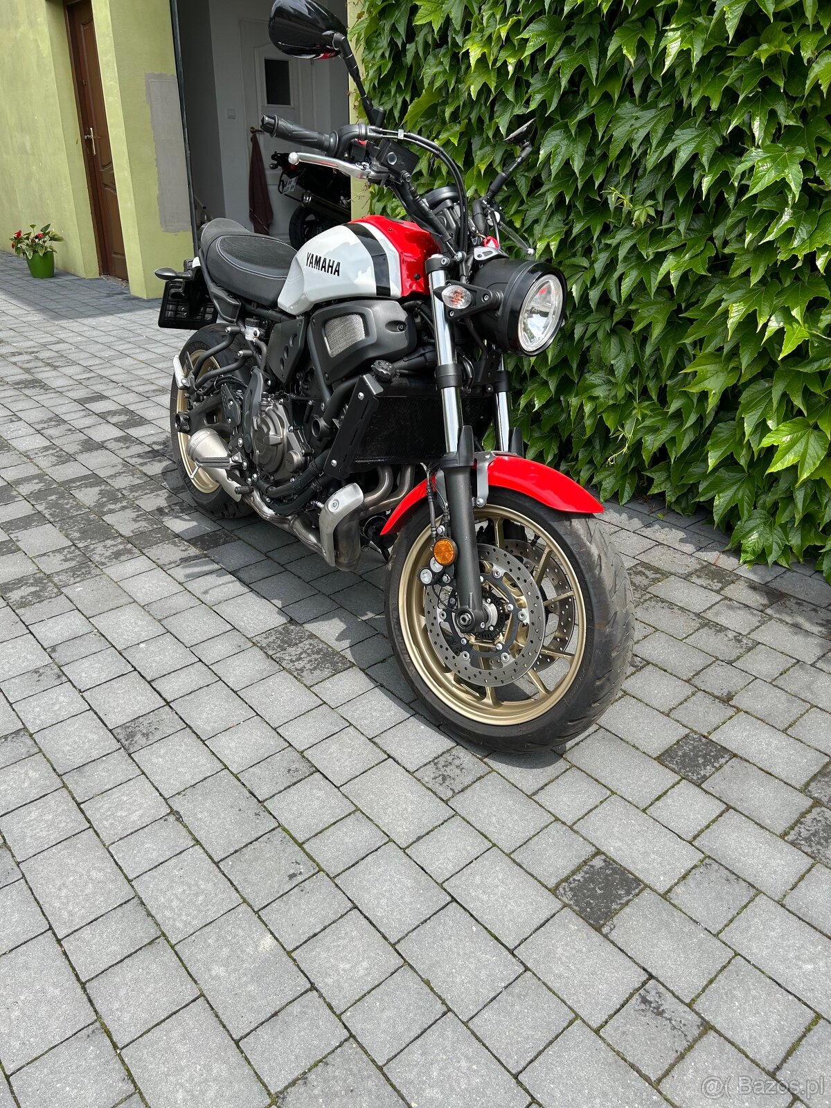Yamaha xsr 700 - 2