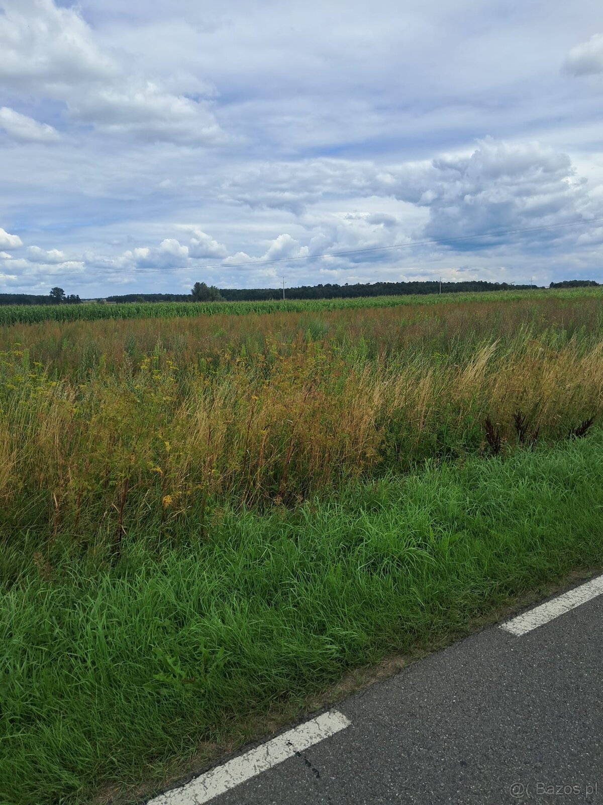 Działki z bezterminowymi warunkami zabudowy – Zborów - 2