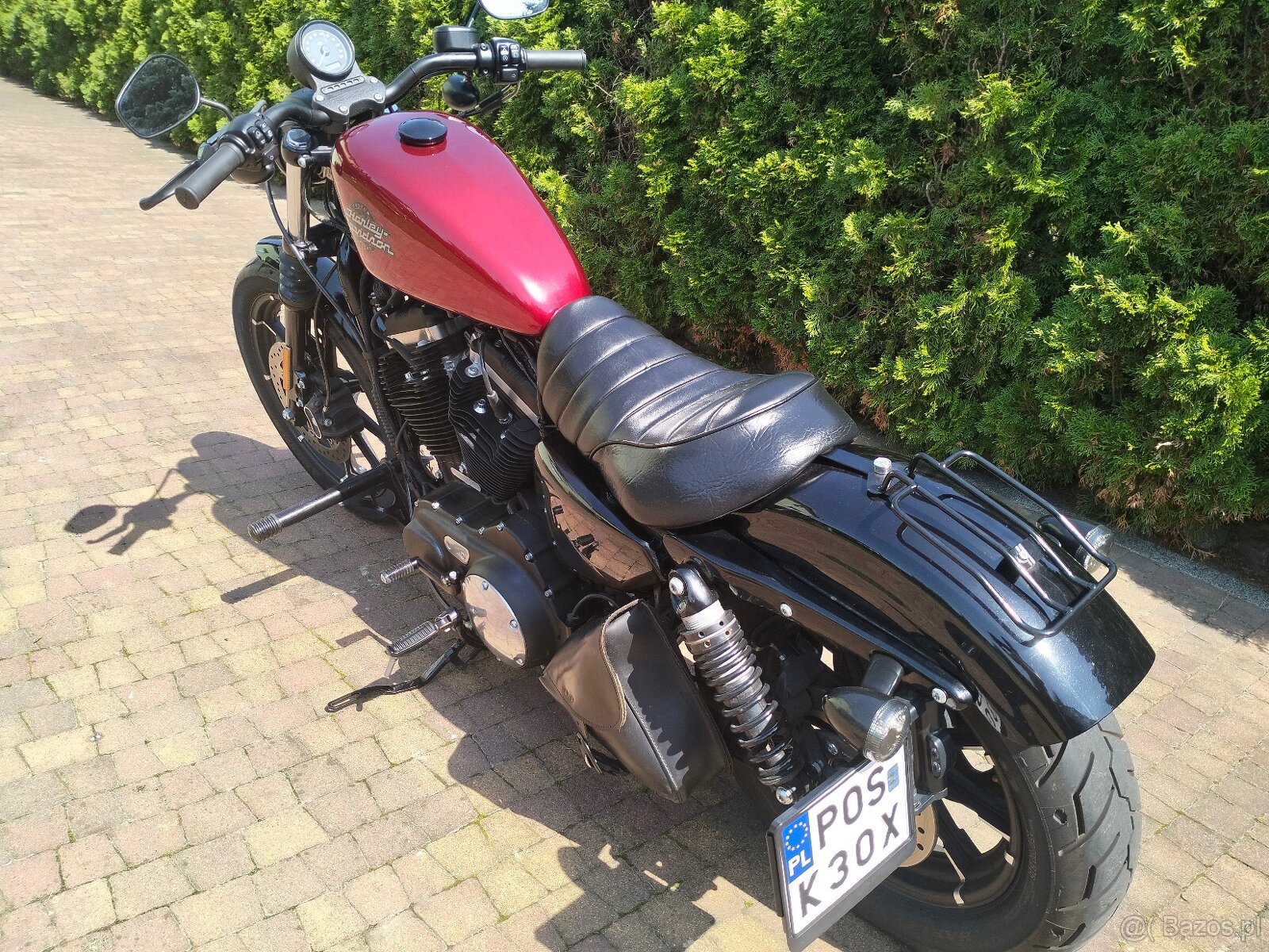 Sportster IRON Harley Davidson - 2
