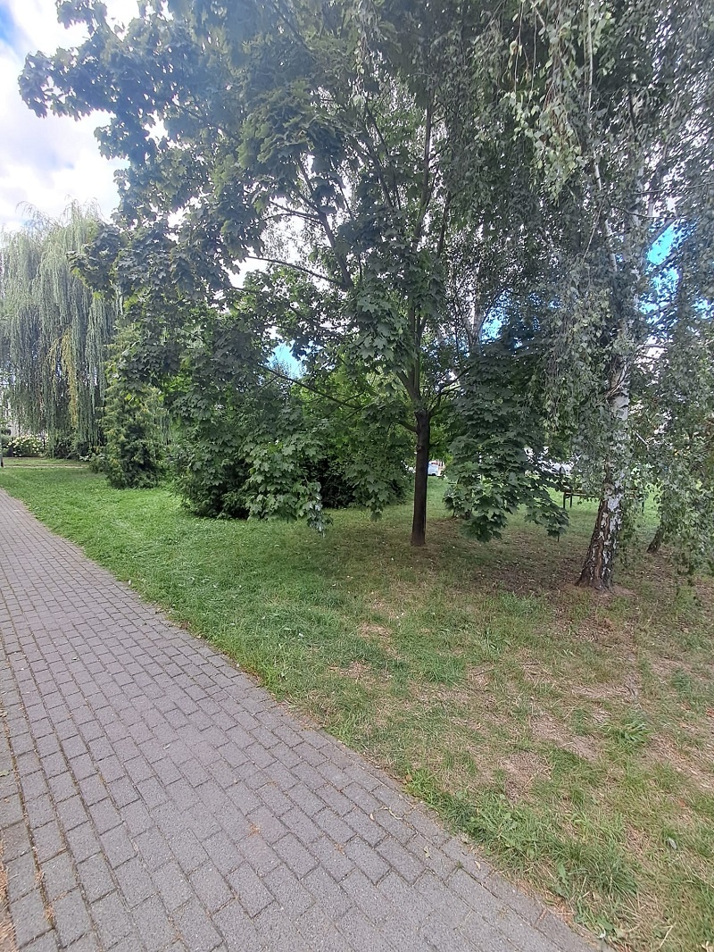 Mieszkanie o pow. 52m2, I piętro, balkon, os. Zagorzynek - 2