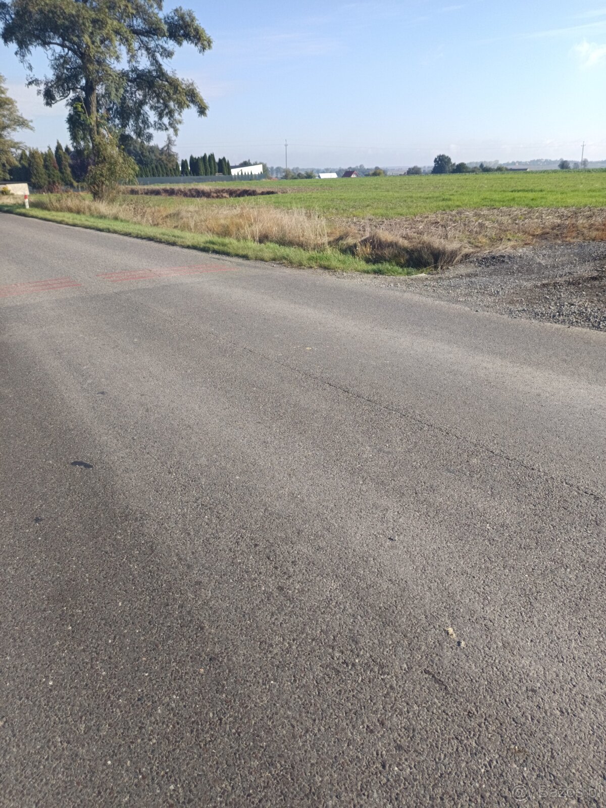 Działka budowlana 93,3 ar - 2