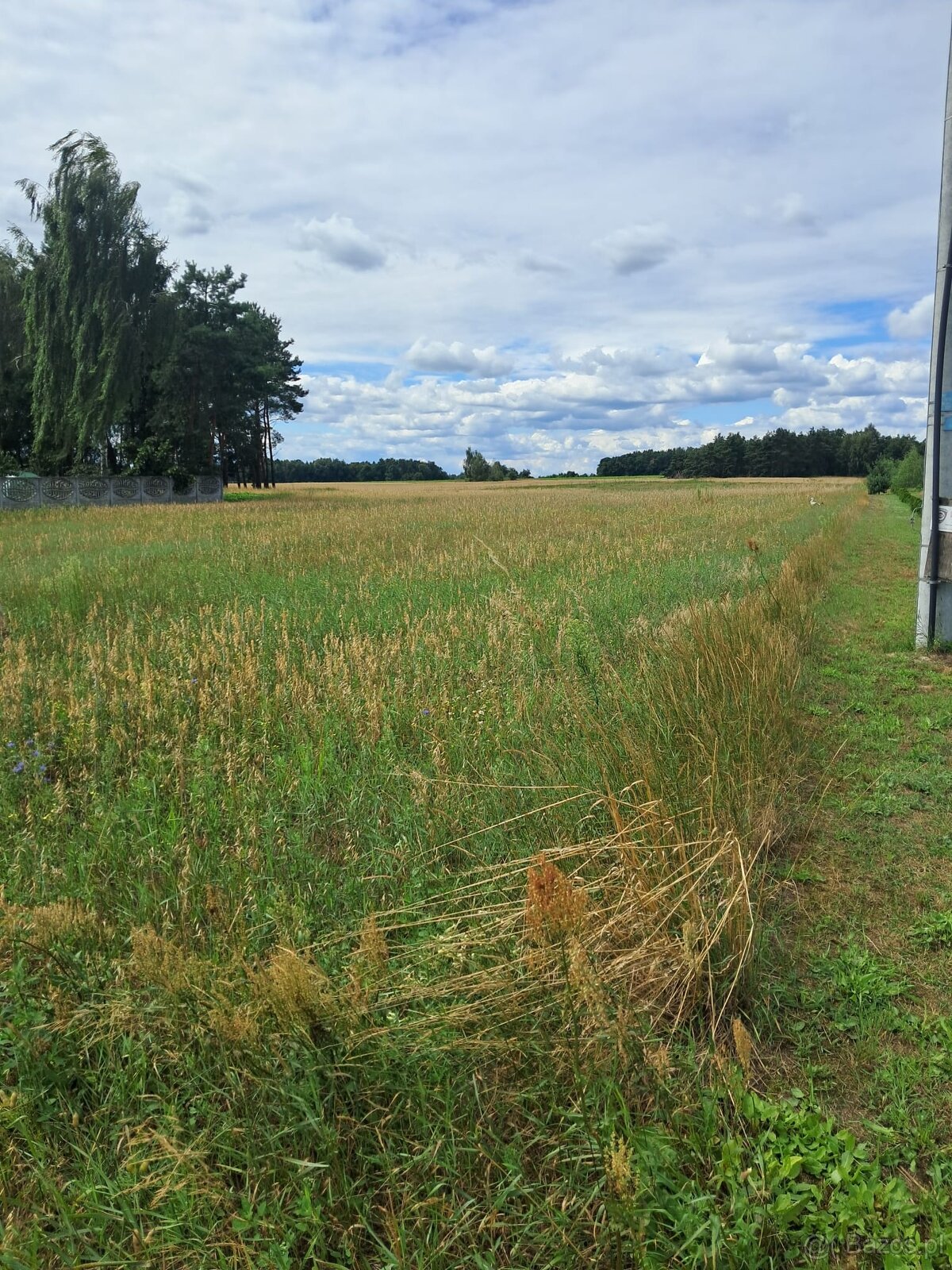 Działki budowlane z warunkami zabudowy, Stropieszyn - 2