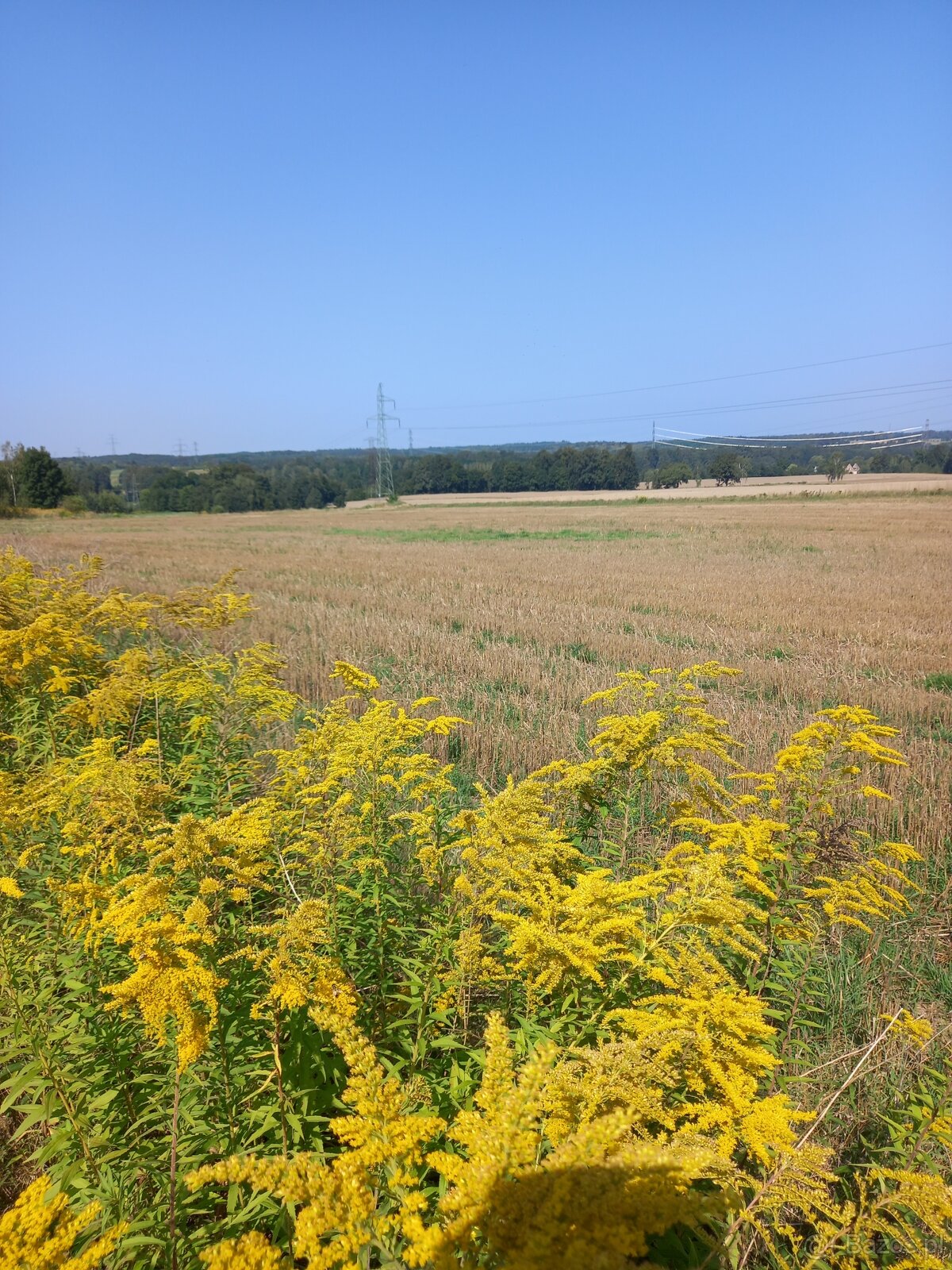 Na sprzedaż 22 działki w Uniegoszczy - 2