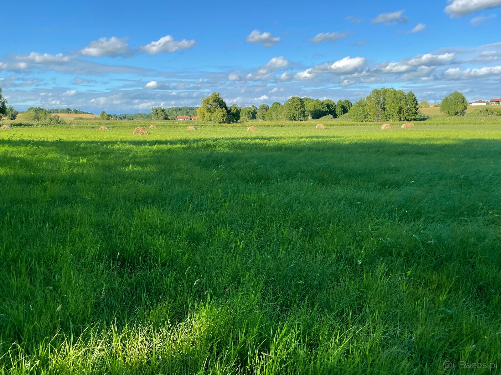 Sprzedam cztery działki w Idzbarku z linią brzegową rzeki - 2