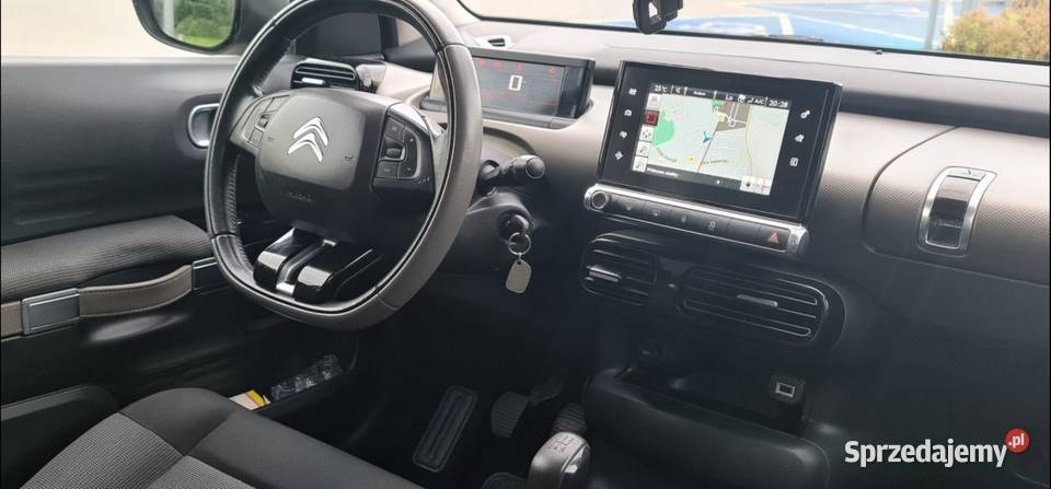 Cactus Sprawdz go w warsztacie na godziny tel. 519 853 348 - 2