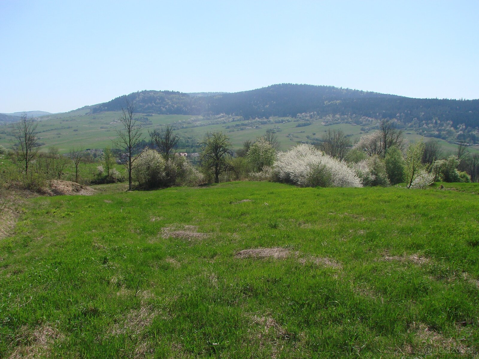 rewelacyjna działka rolna o powierzchni 1,48 ha Posada Jaśli - 2