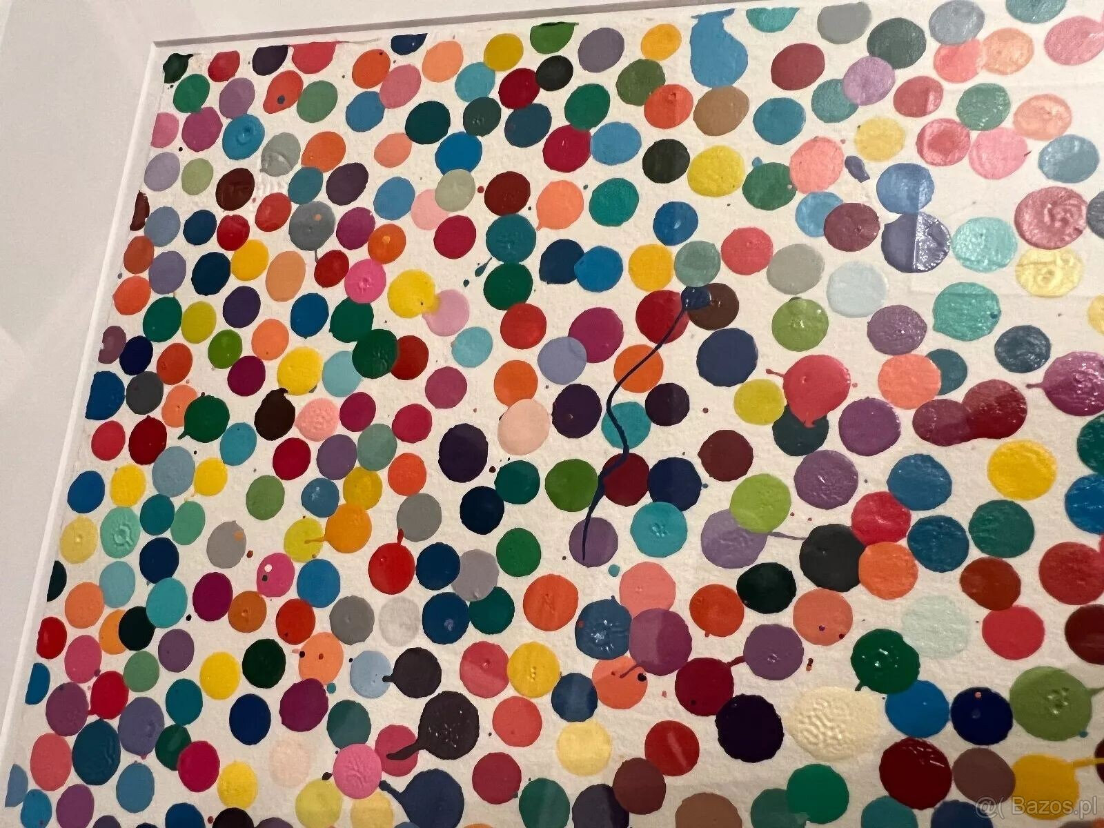DAMIEN HIRST Waluta „Węże lubią Bibbles” w ramce HENI. Malow - 2