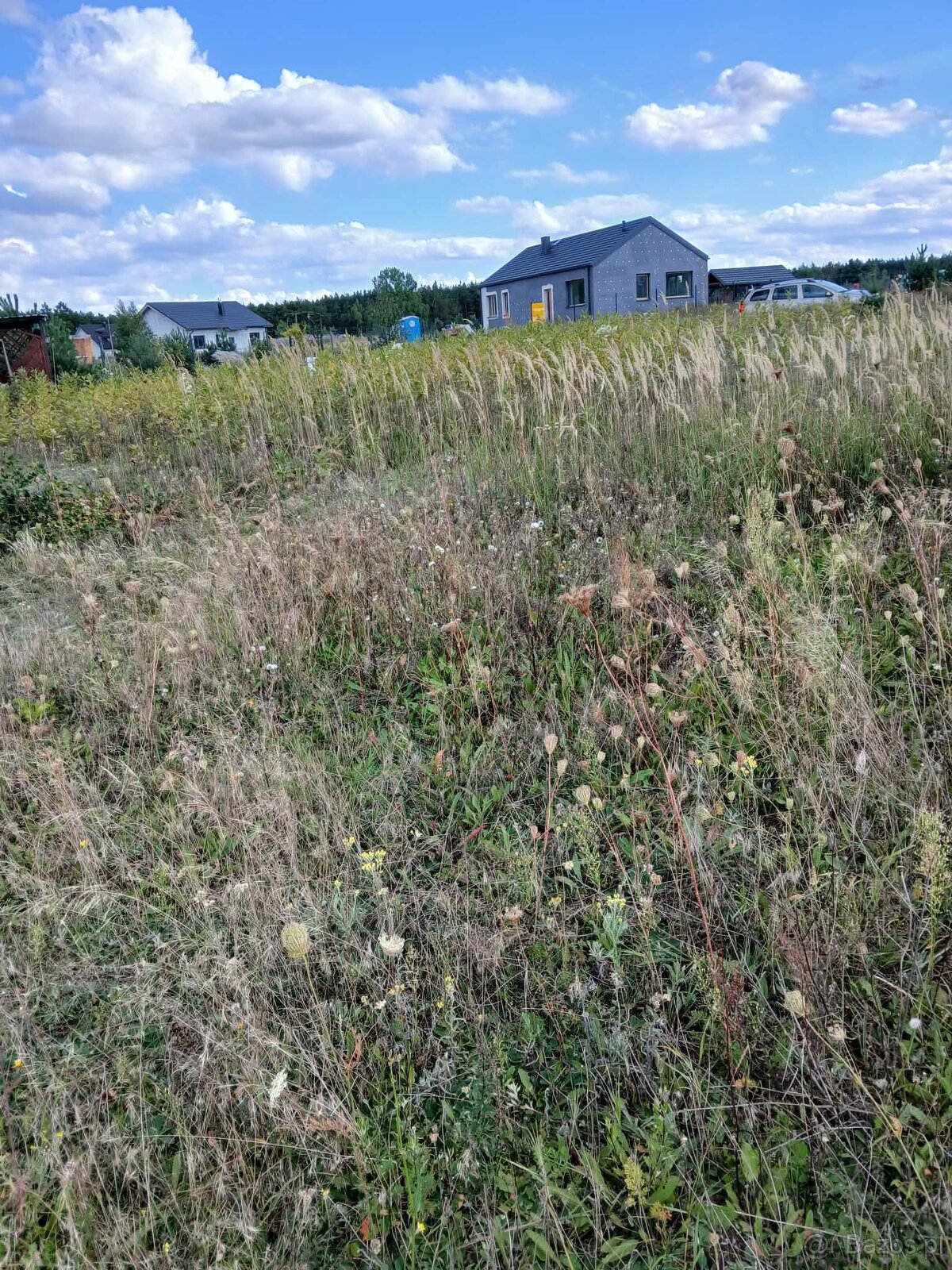 Sprzedam działkę budowlaną - 2