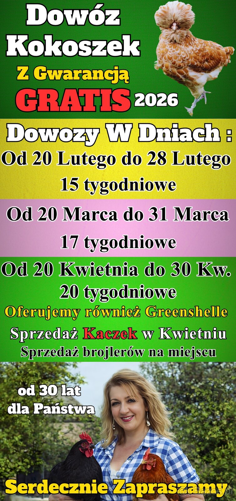 Kokoszki z GWARANCJĄ - Dowóz GRATIS Ferma Drobiu Ładna Marze - 2