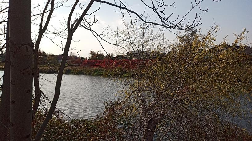 Warszawa Białołęka ul. Białołęcka działa budowlana 1000m2 - 2