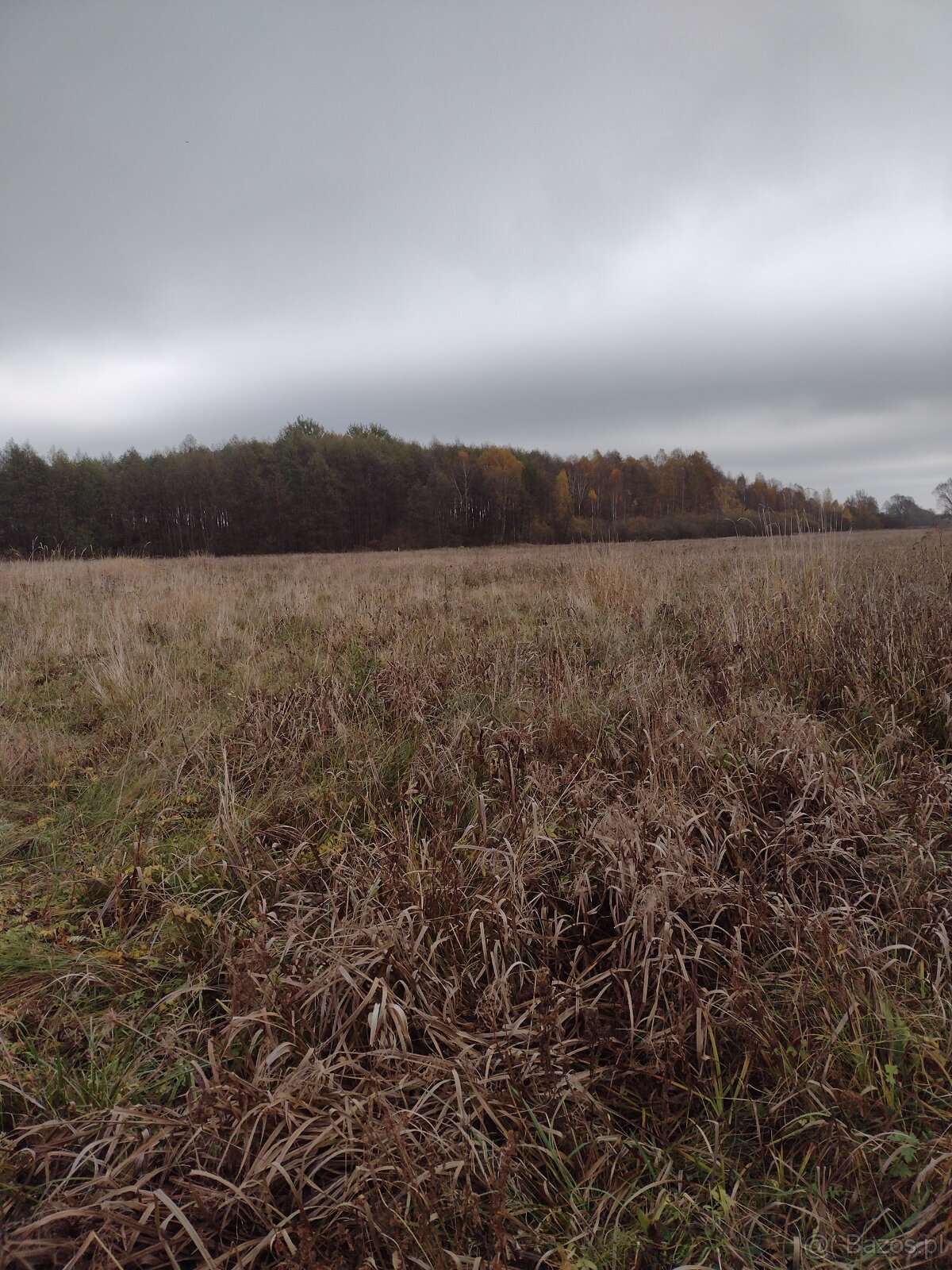 Sprzedaz dzialki - 2