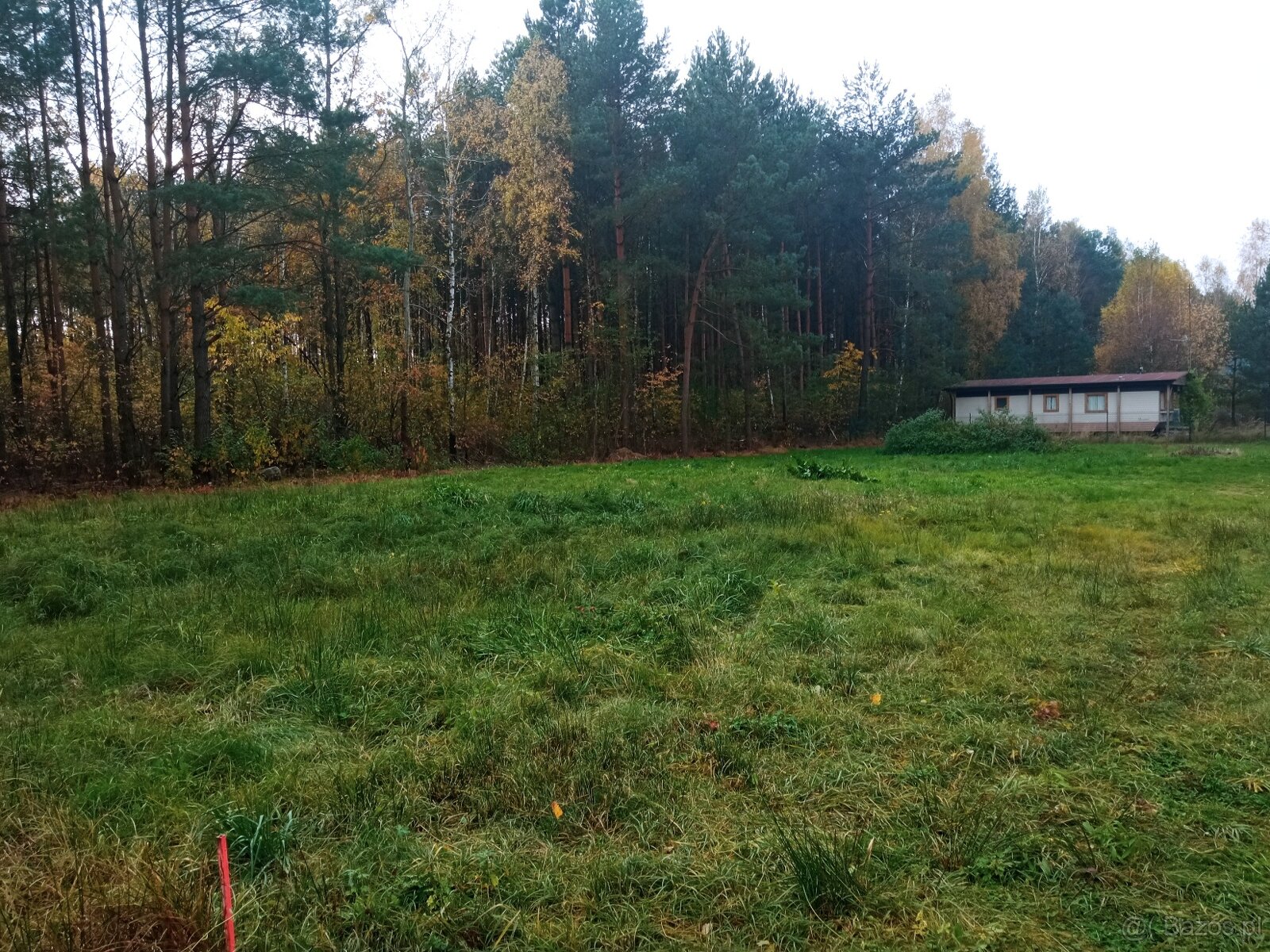 Sprzedam działkę - 2