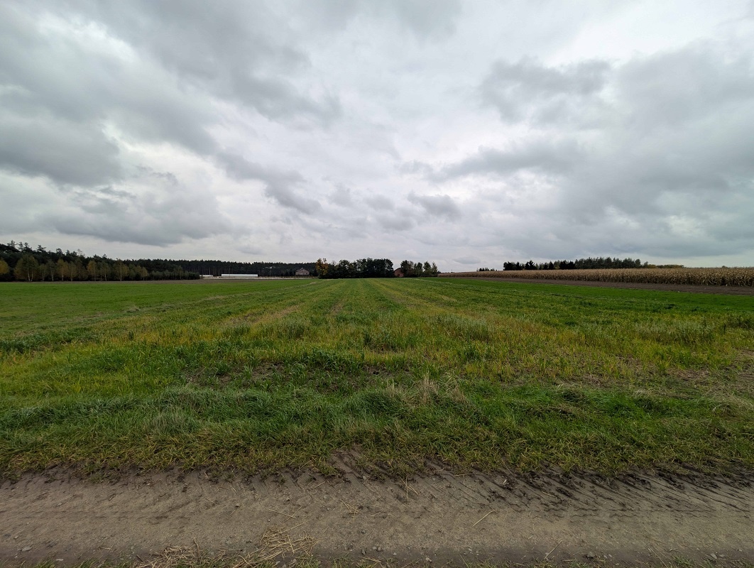 Działka rolna o powierzchni 7393m², Nadzież - 2