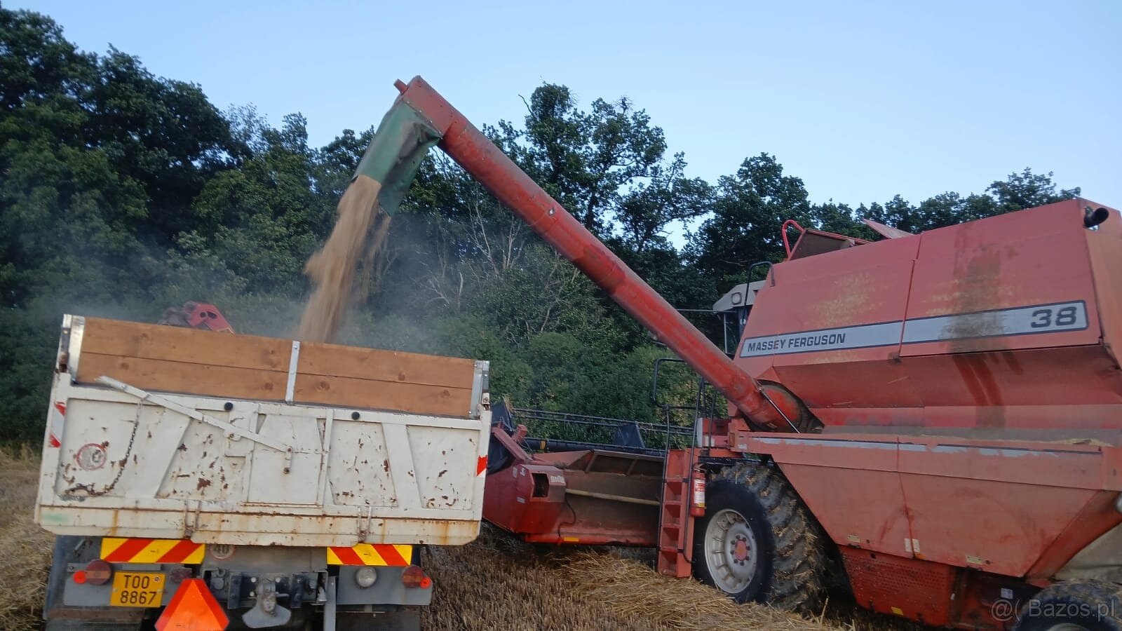 Massey Ferguson 38 - 2