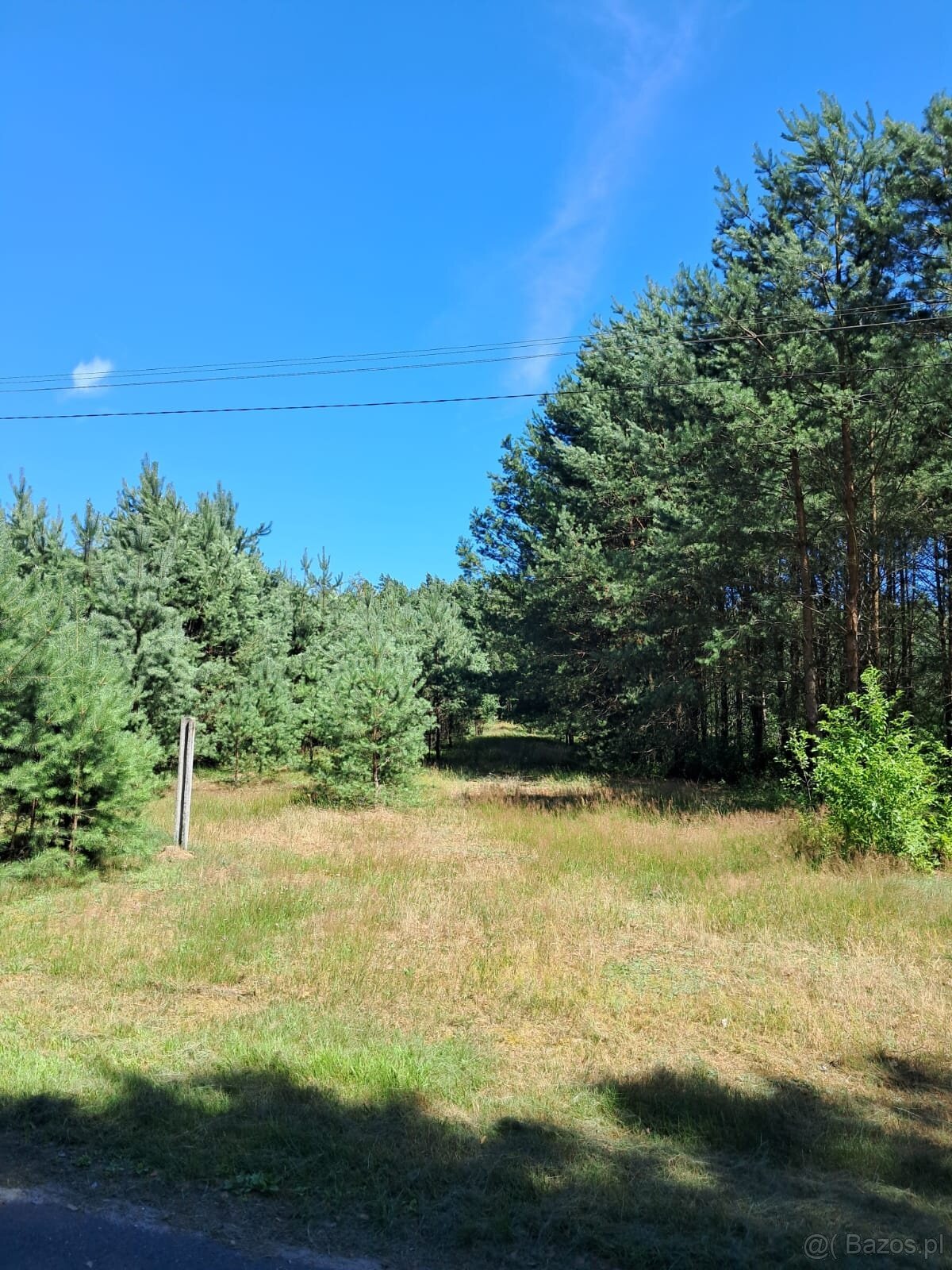 Działka budowlana o powierzchni 1686 m2, Prażuchy Nowe - 2