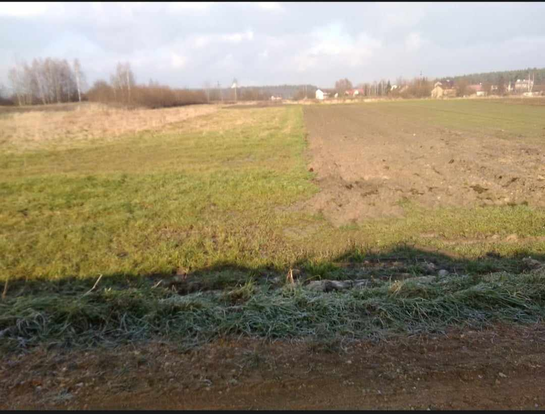 Cztery działki rolne - Okleśna, gm. Alwernia - 2